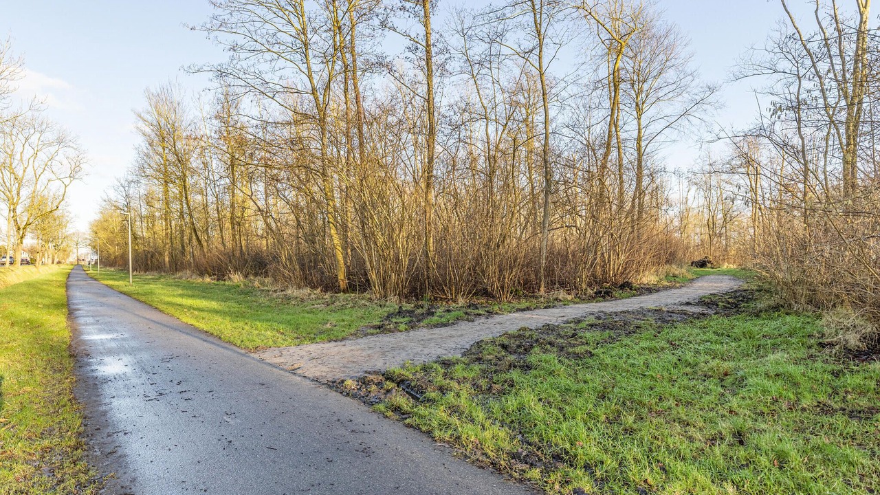 Photo of Others in Nieuwolda