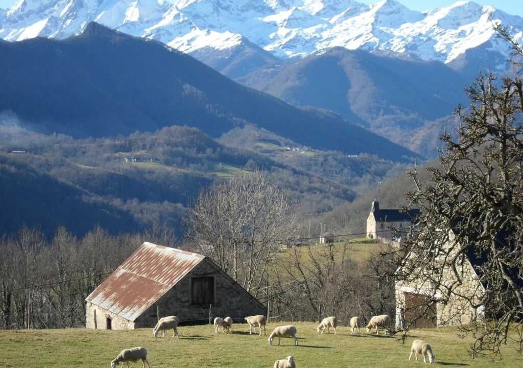 Photo of Others in Seix