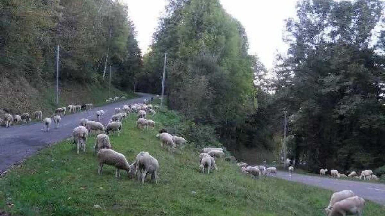 Photo of Others in Seix