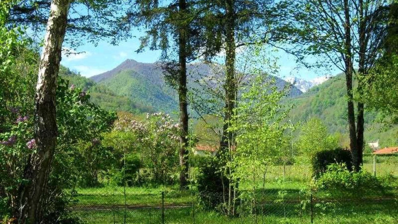 Photo of Others in Seix