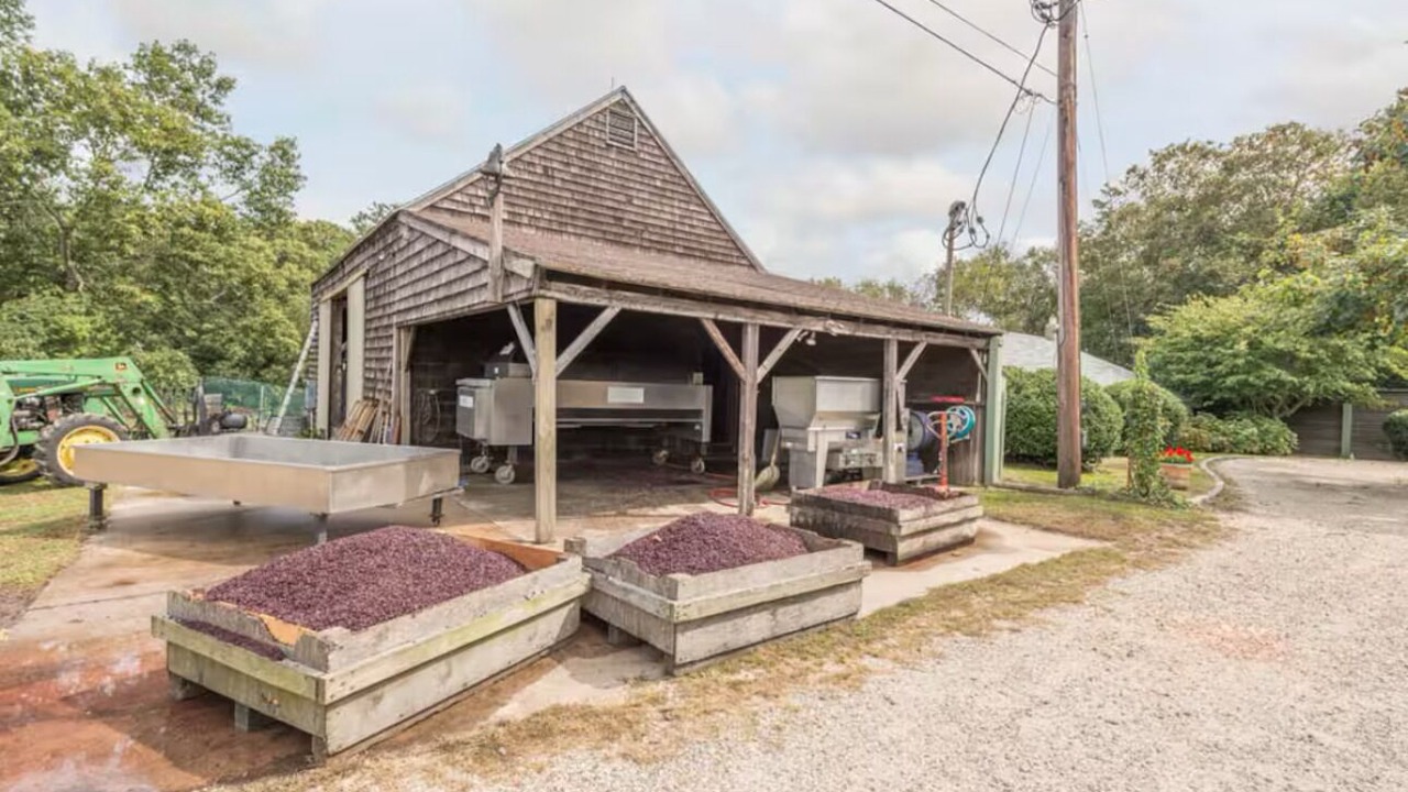 Photo of Outdoor in Cutchogue