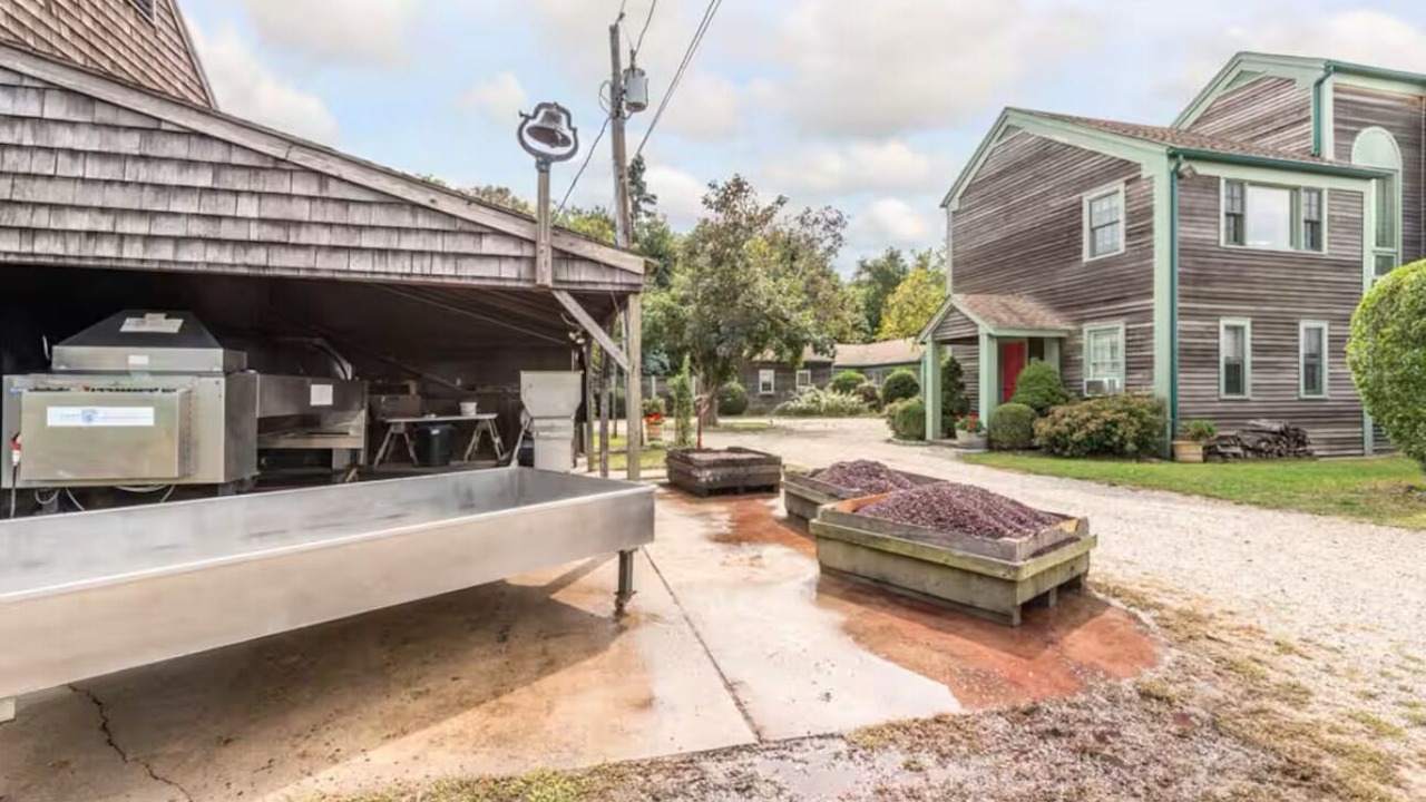 Photo of Outdoor in Cutchogue