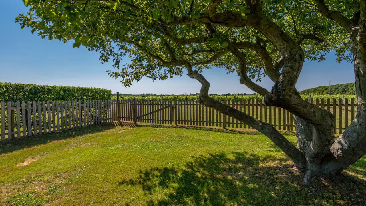 Photo of Outdoor in Cutchogue