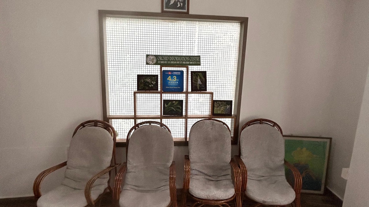 Photo of Others in Kumily