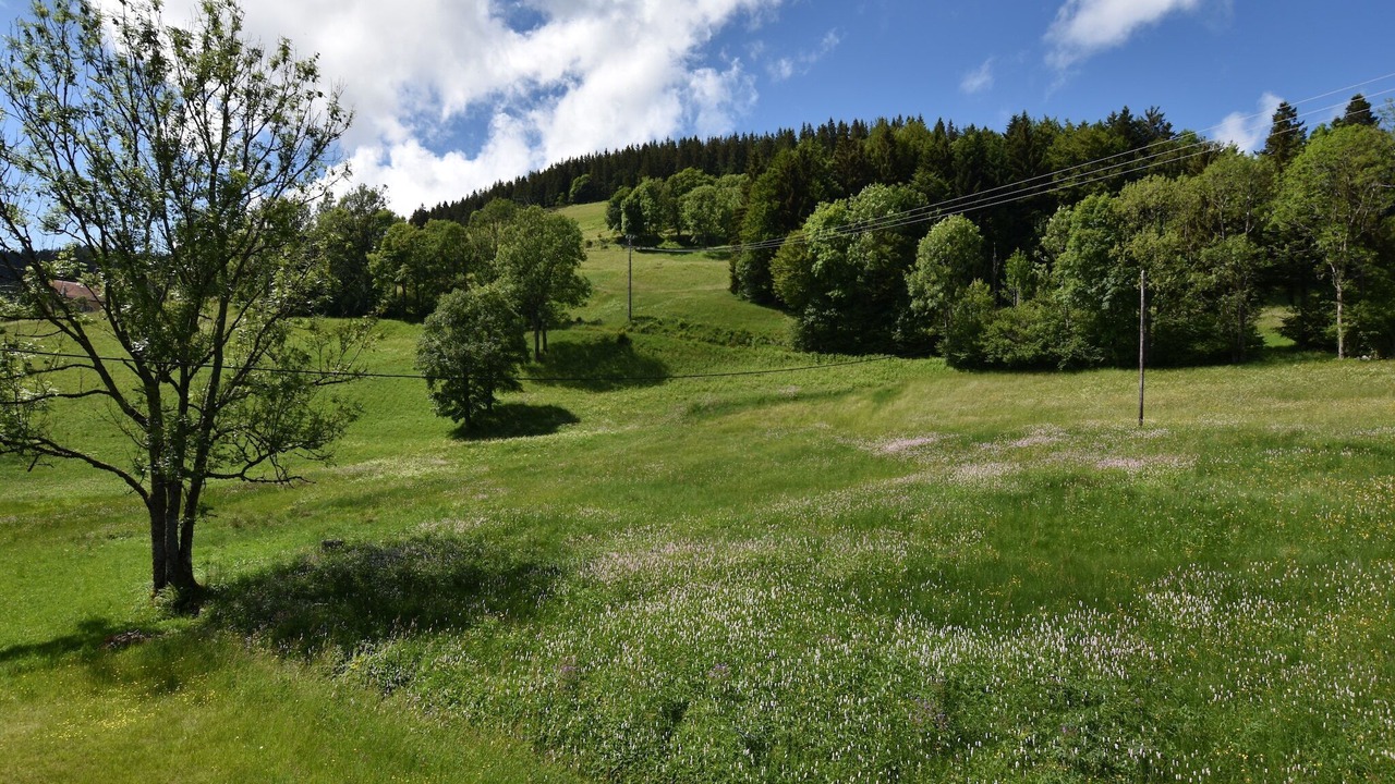 Photo of Others in Saulxures-sur-Moselotte