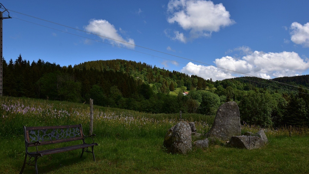 Photo of Outdoor in Saulxures-sur-Moselotte