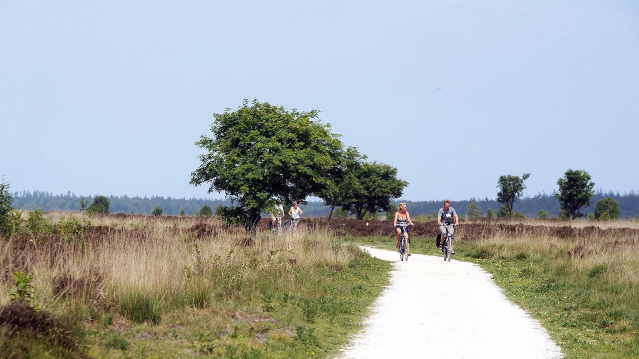 Photo of Others in Hoogersmilde