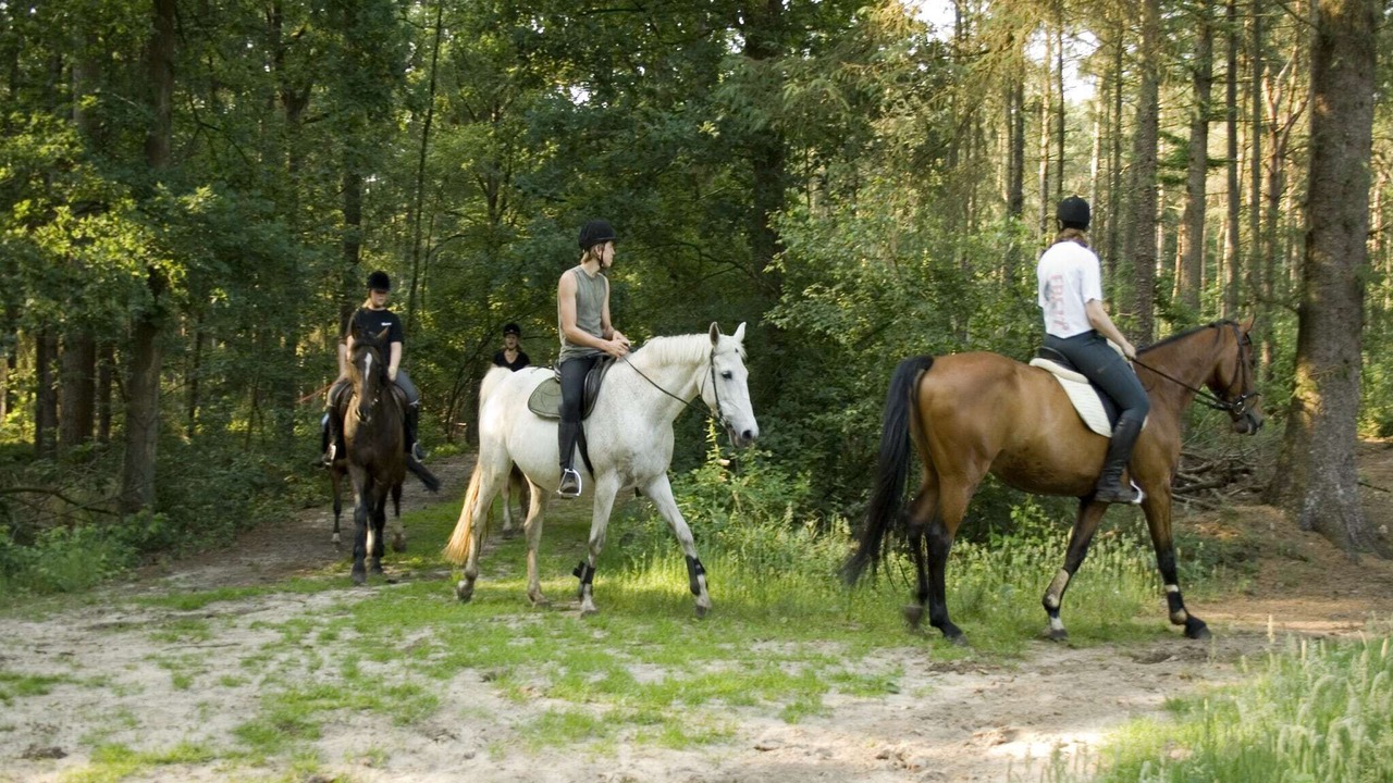 Photo of Others in Dalfsen