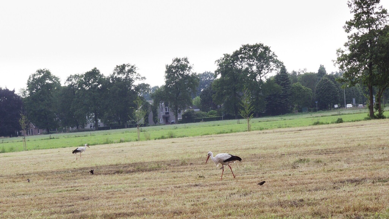 Photo of Others in IJhorst