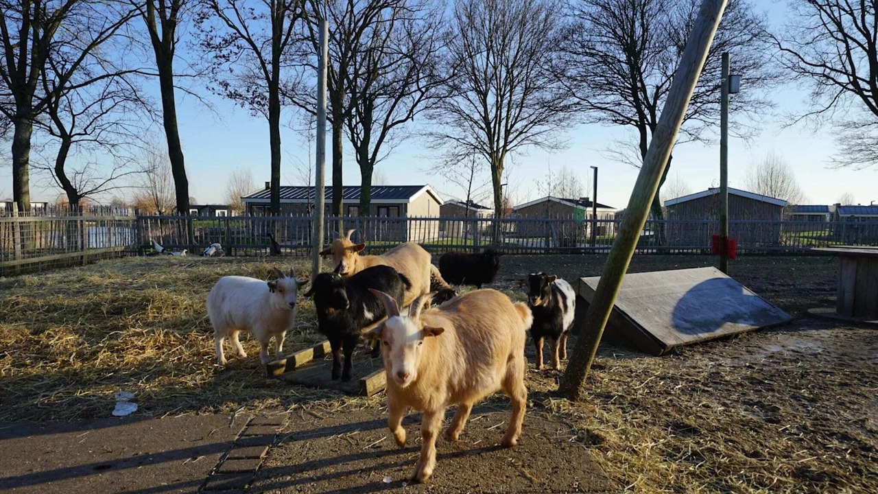 Photo of Others in Municipality of Kampen