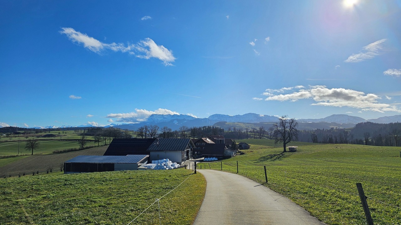 Photo of Others in Menznau