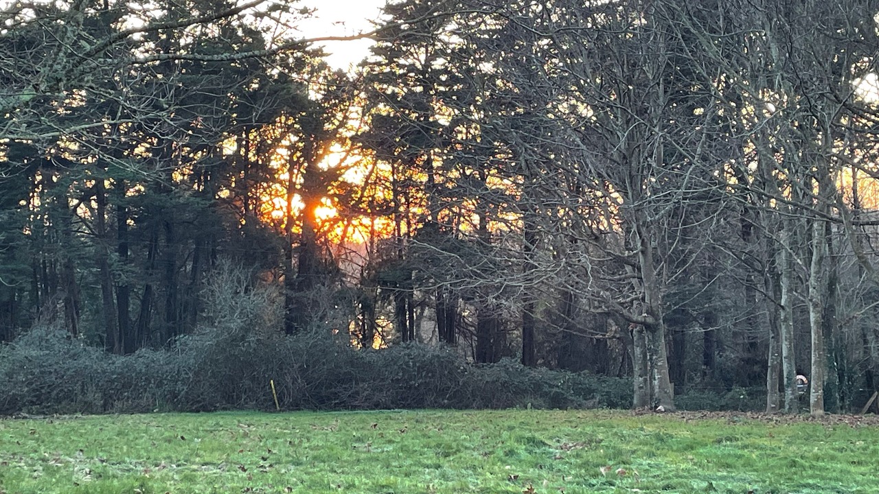 Photo of Others in Larmor-Baden
