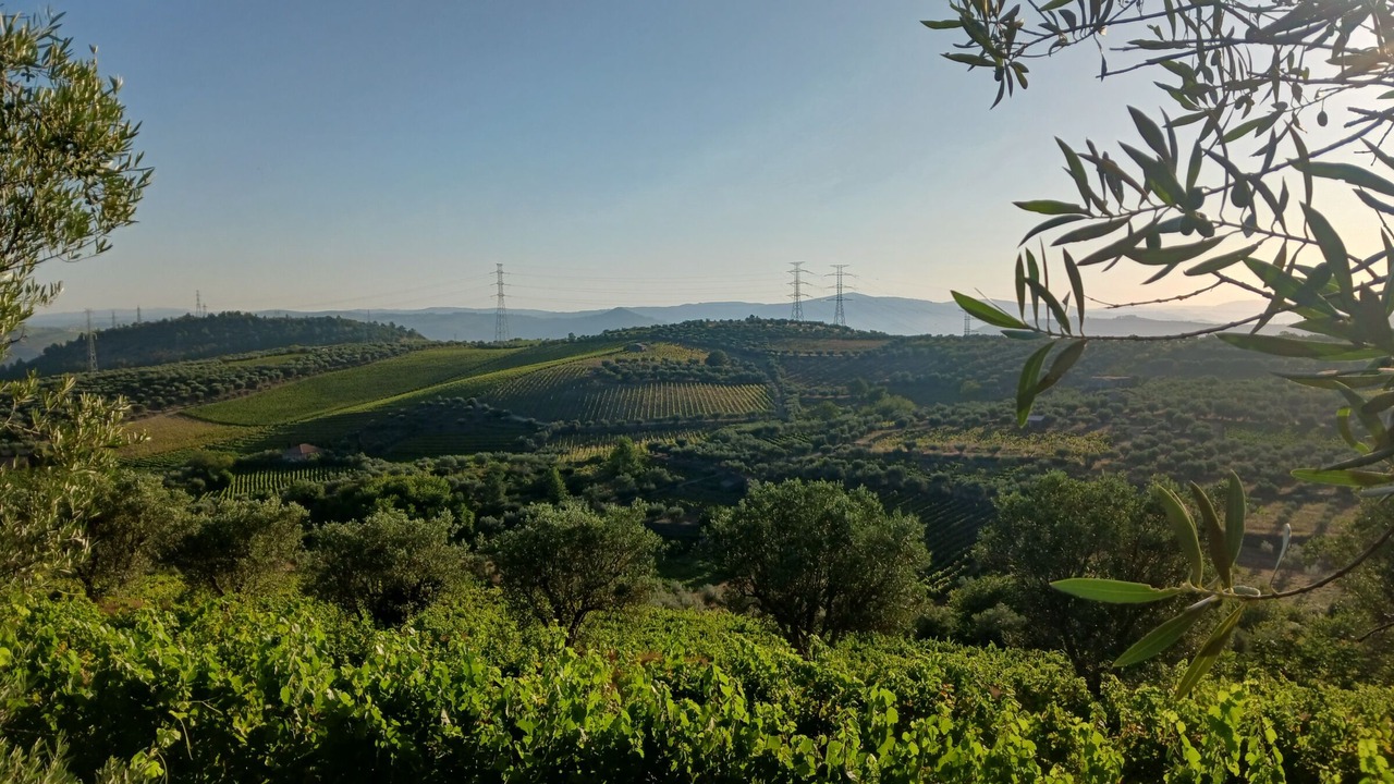Photo of Others in Armamar