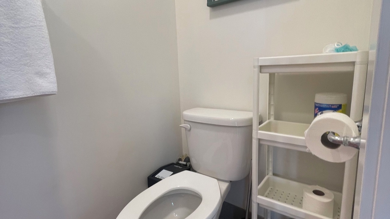 Photo of Bathroom in Sardis