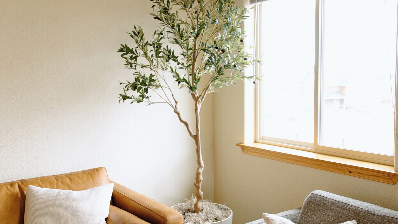 Photo of Livingroom in Moscow