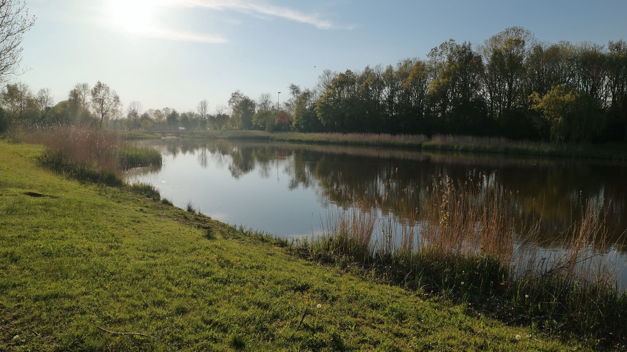 Photo of Others in Dokkum