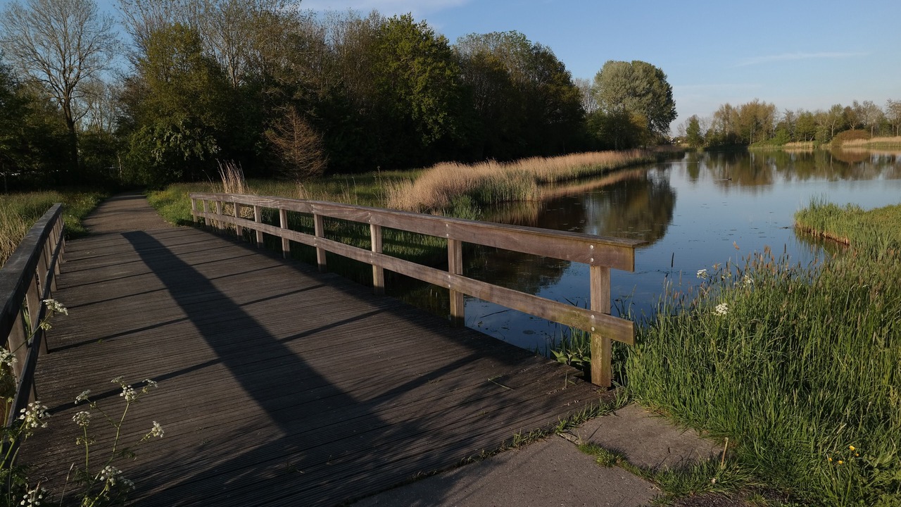 Photo of Others in Dokkum
