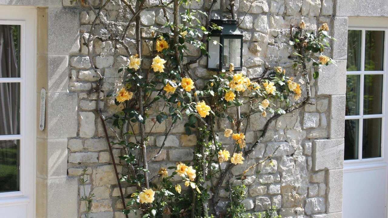 Photo of Outdoor in Barbeville