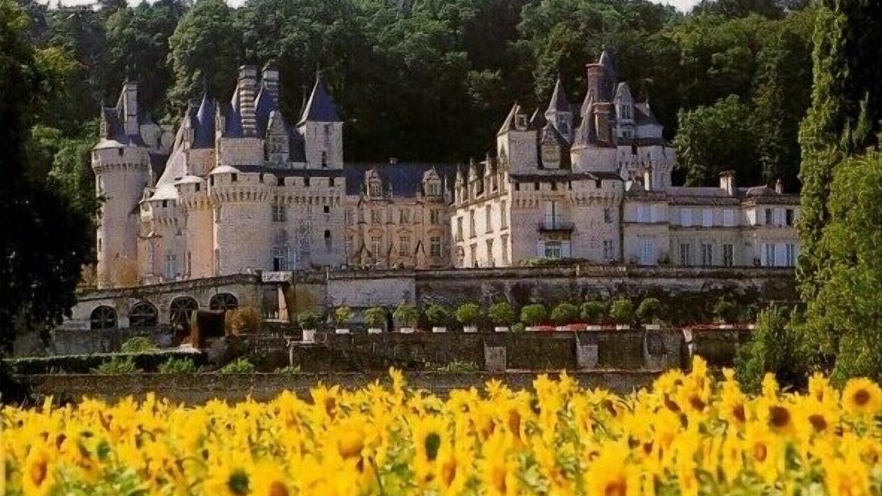 Photo of Others in Verneuil-le-Chateau