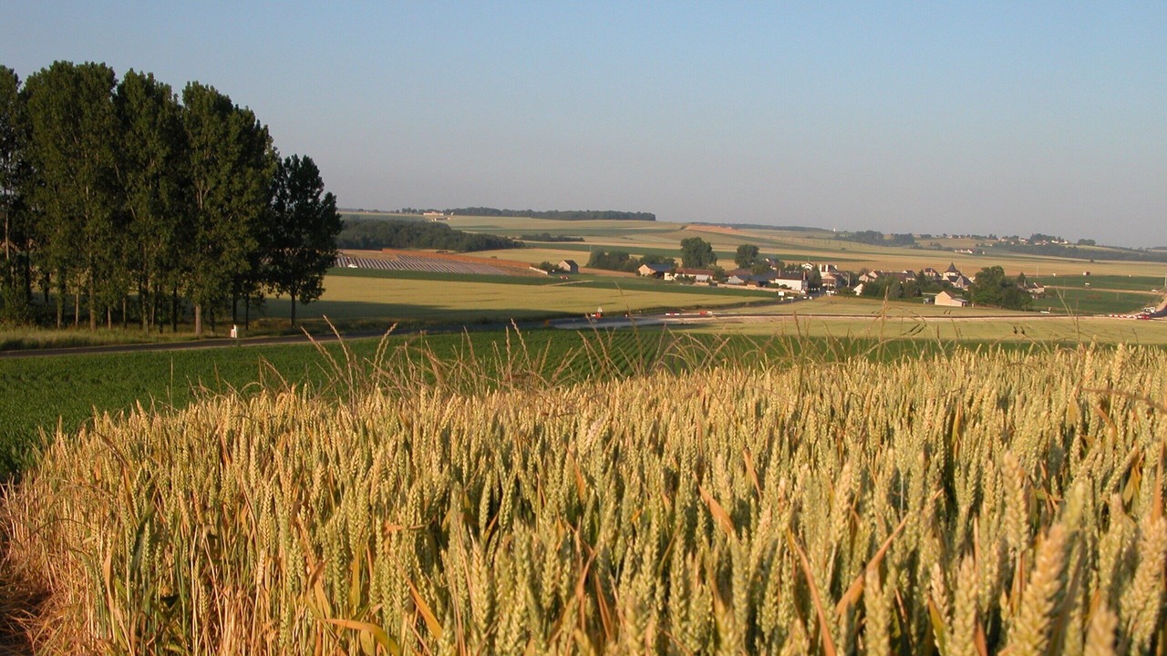 Photo of Outdoor in Verneuil-le-Chateau