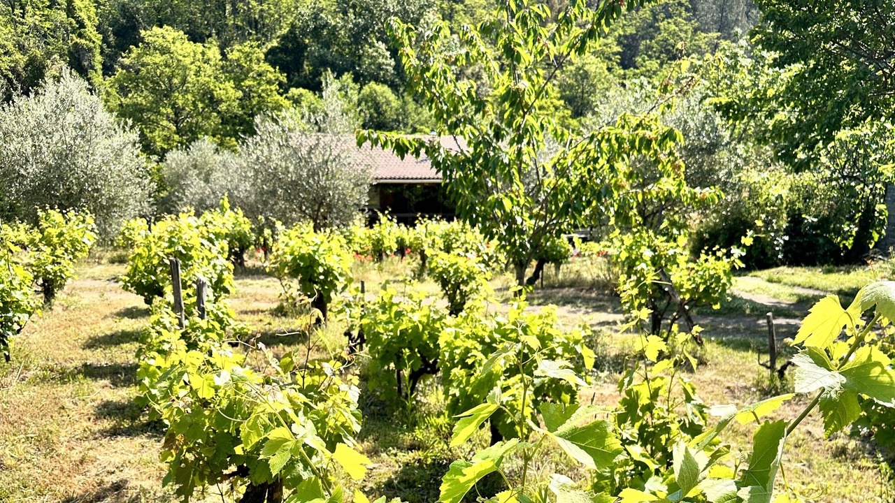 Photo of Outdoor in Le Martinet