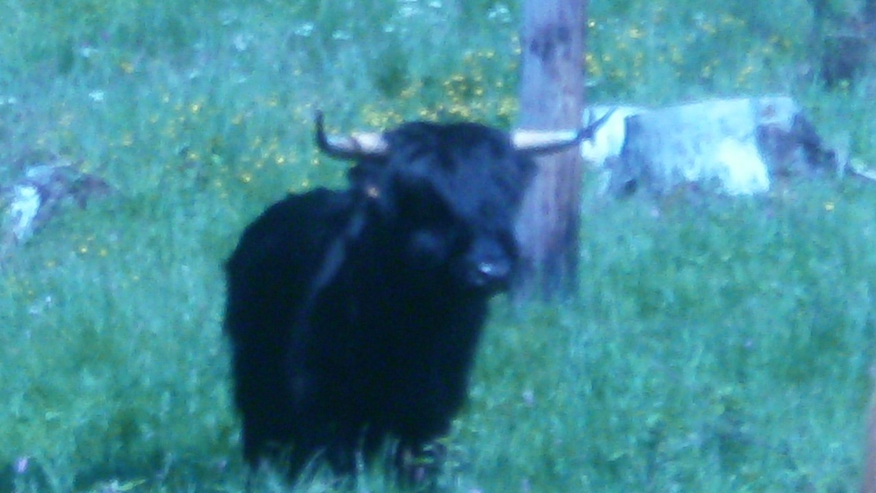 Photo of Others in Ventron