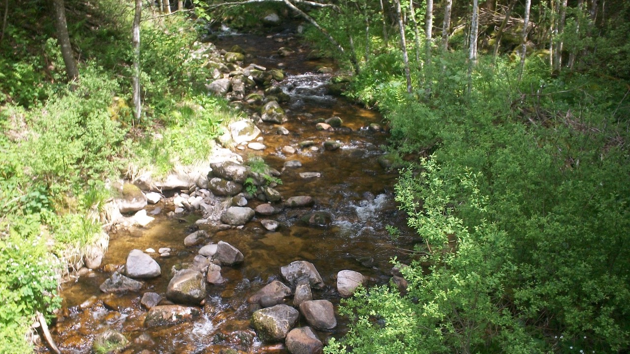 Photo of Outdoor in Ventron