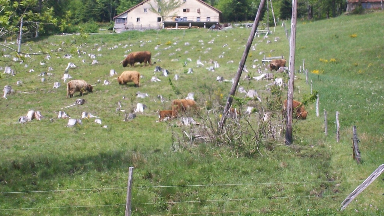 Photo of Outdoor in Ventron