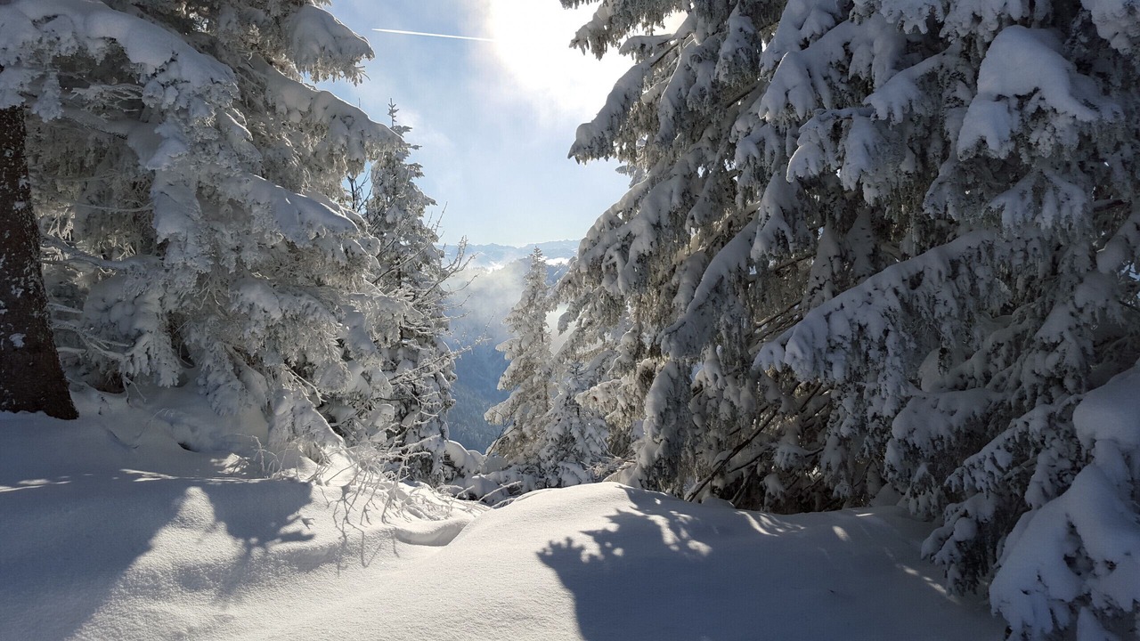 Photo of Others in La Bresse