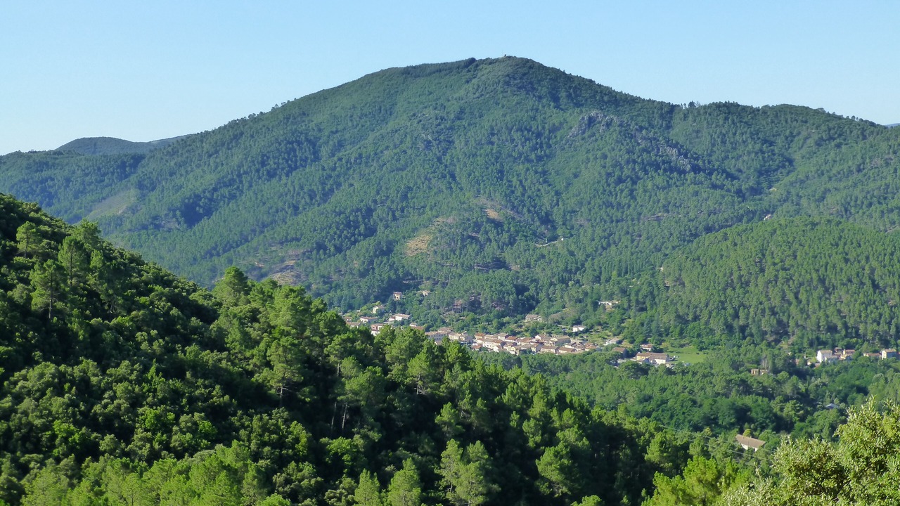 Photo of Others in Le Martinet