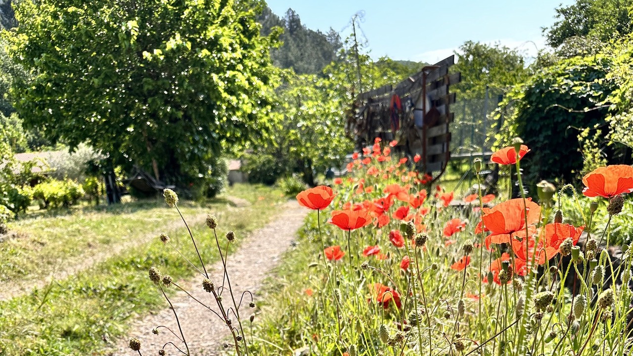 Photo of Outdoor in Le Martinet