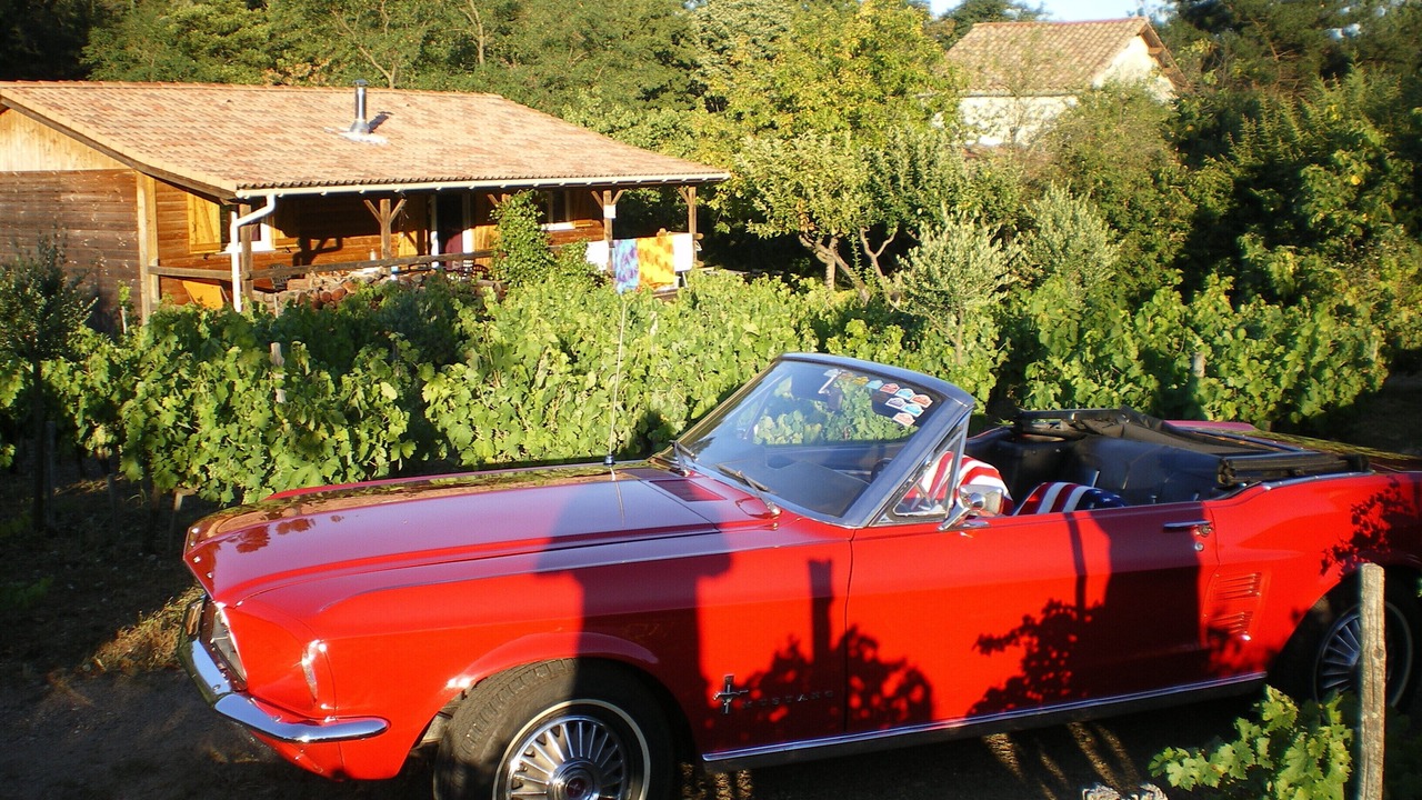 Photo of Outdoor in Le Martinet