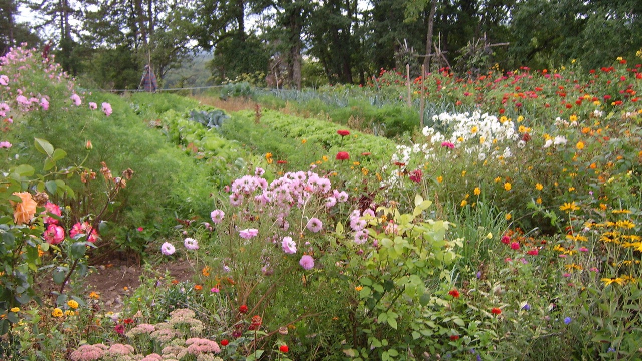 Photo of Outdoor in Essoyes