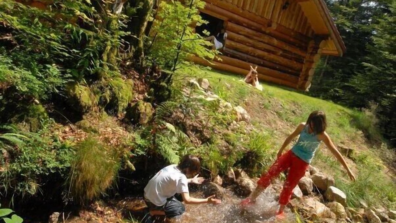 Photo of Others in La Bresse