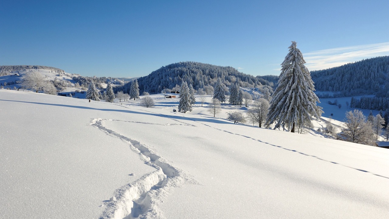 Photo of Others in La Bresse