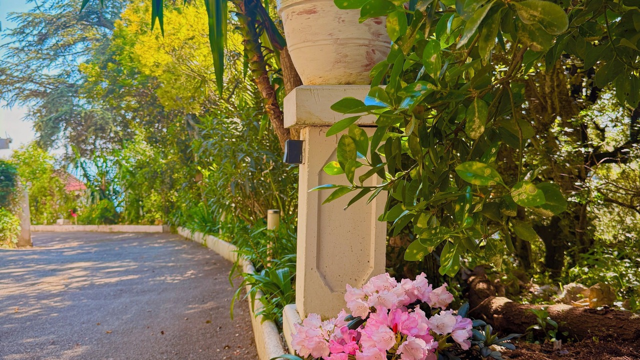 Photo of Outdoor in Nice