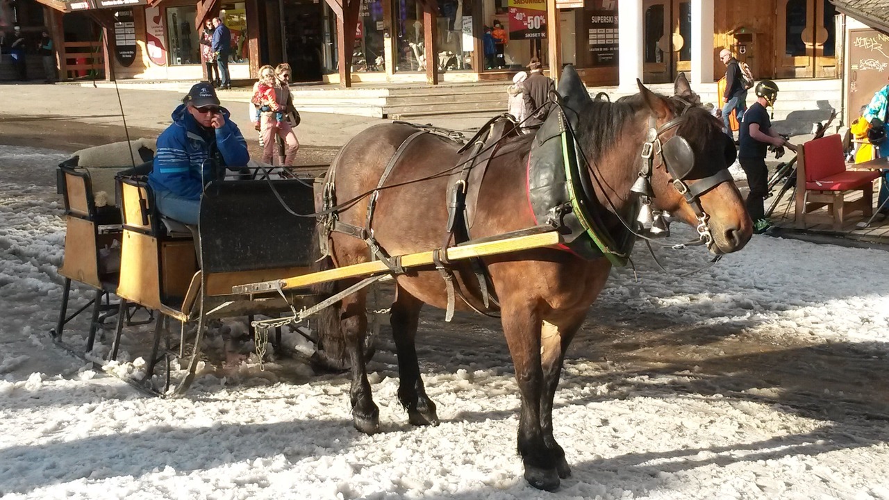 Photo of Others in Avoriaz
