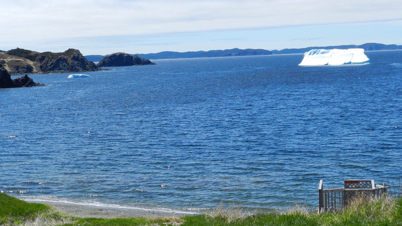 Photo of Others in Crow Head