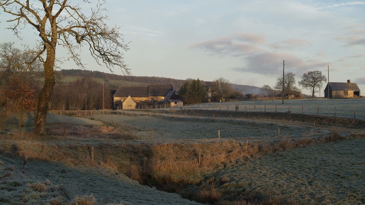 Photo of Others in Saint-Vigor-des-Monts