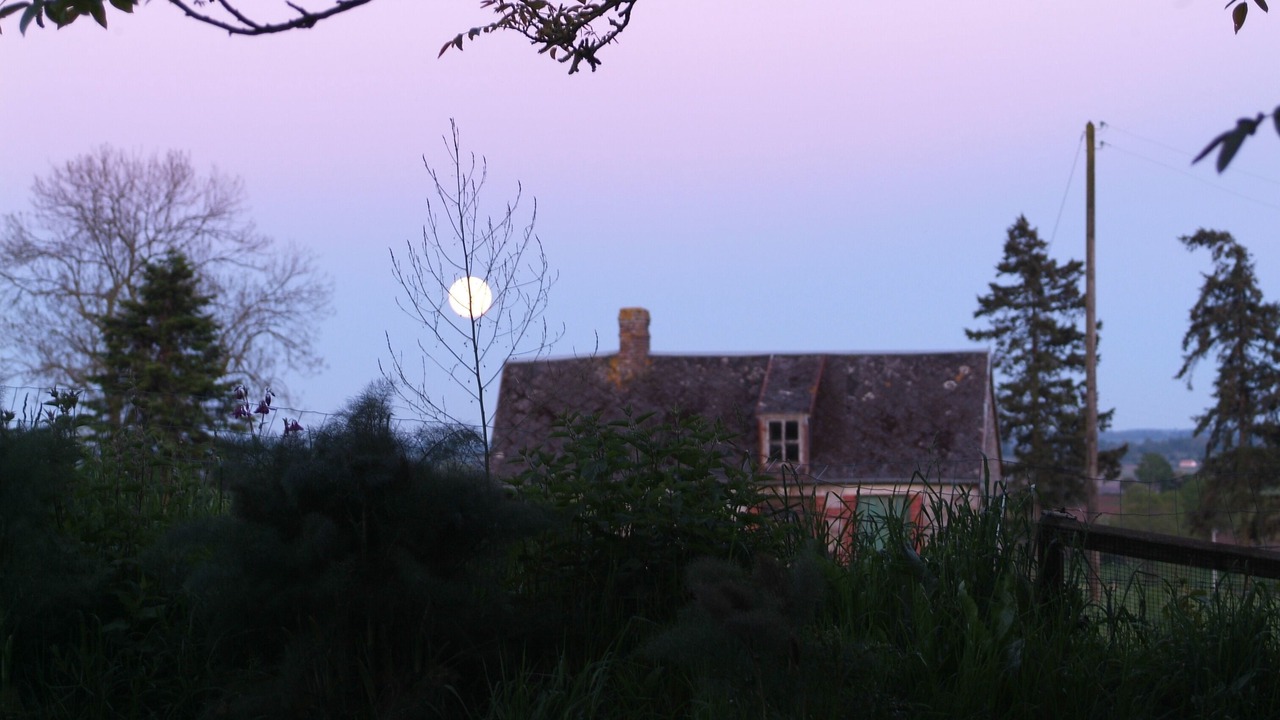 Photo of Others in Saint-Vigor-des-Monts