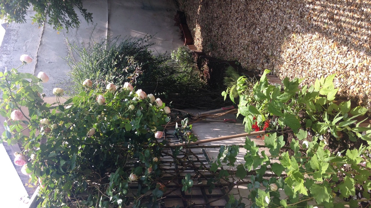 Photo of Outdoor in Maintenon