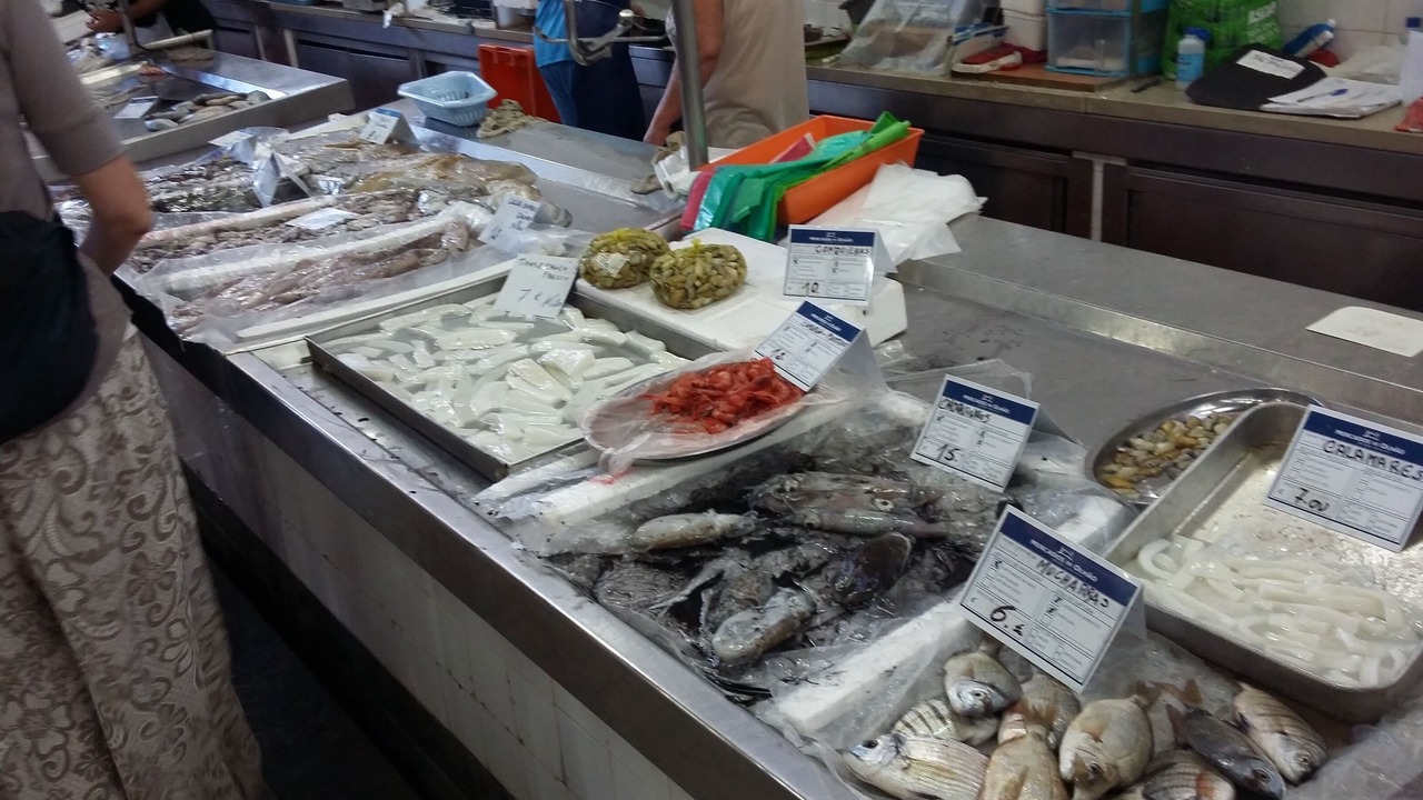 Photo of Others in Olhao