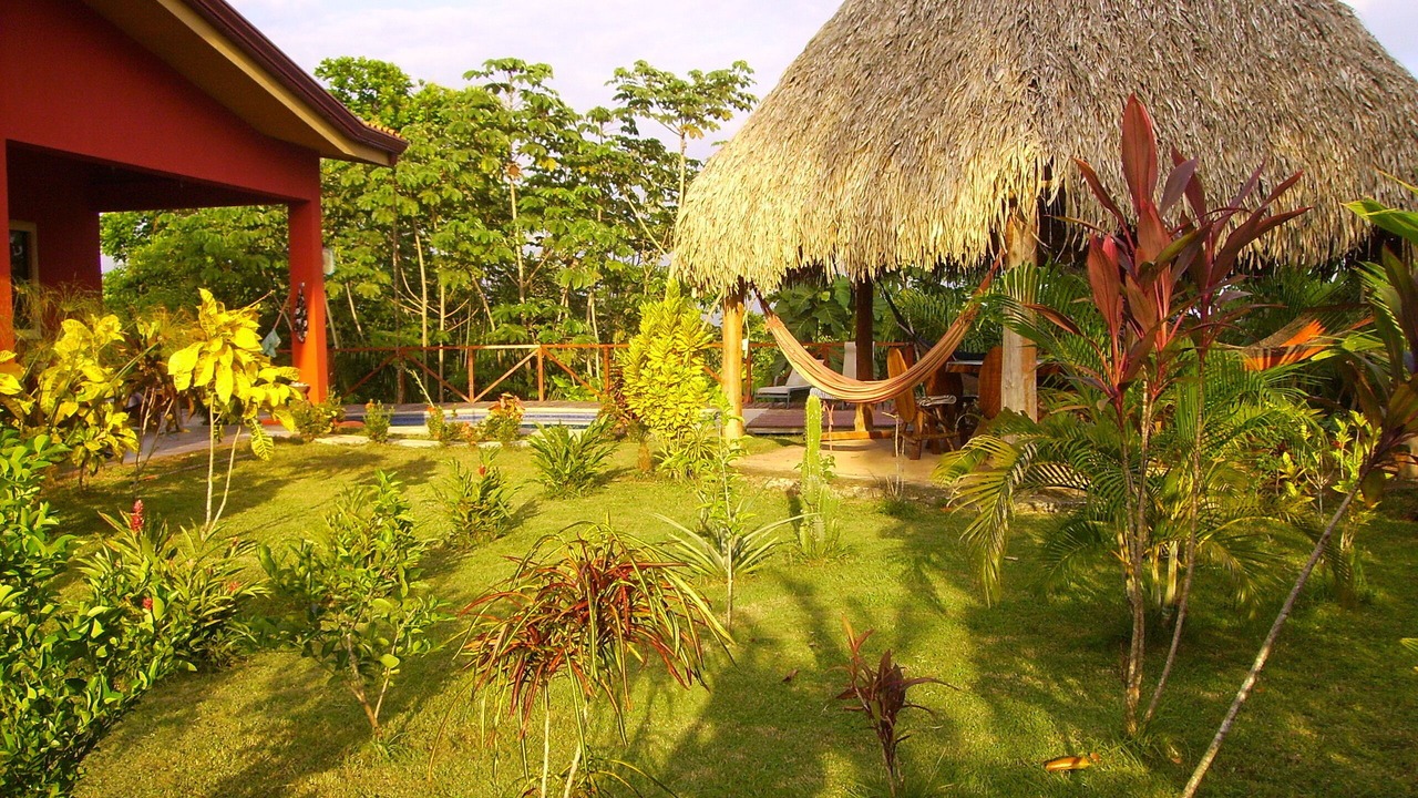 Photo of Outdoor in Parrita