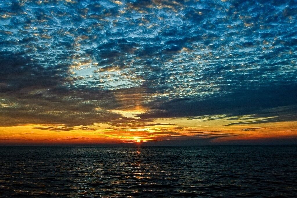 Photo of Others in Sarasota