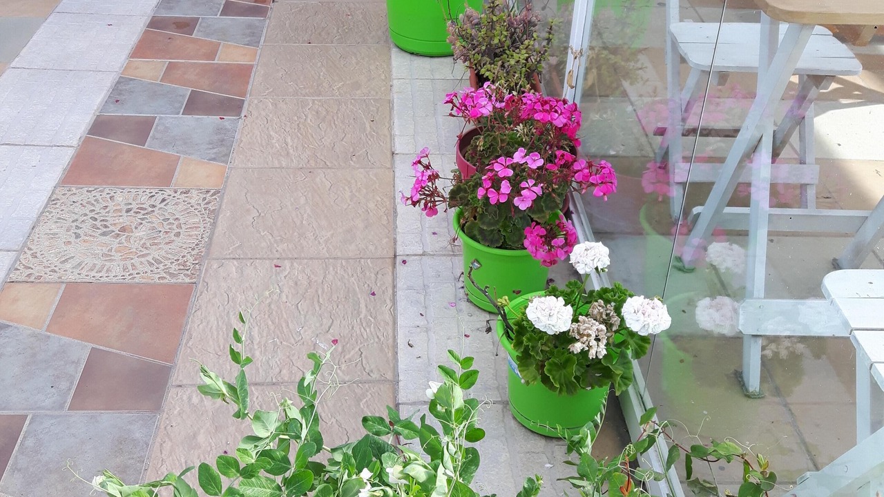 Photo of Outdoor in Cusco