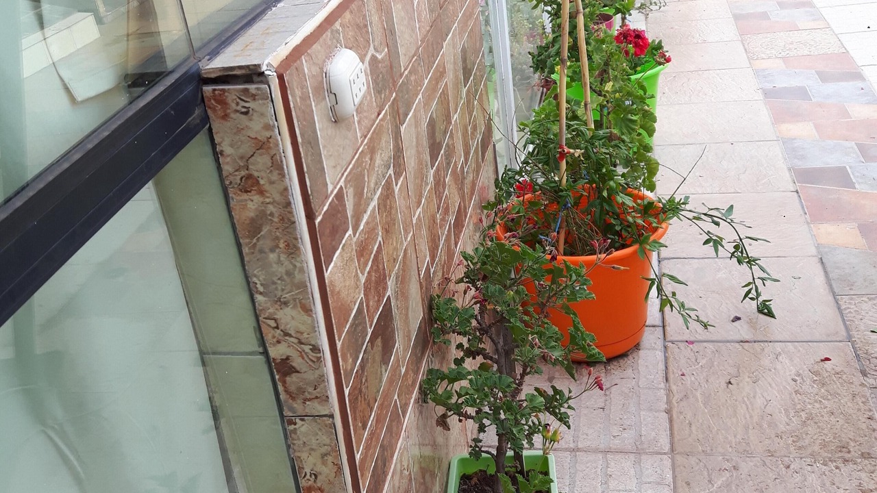 Photo of Outdoor in Cusco