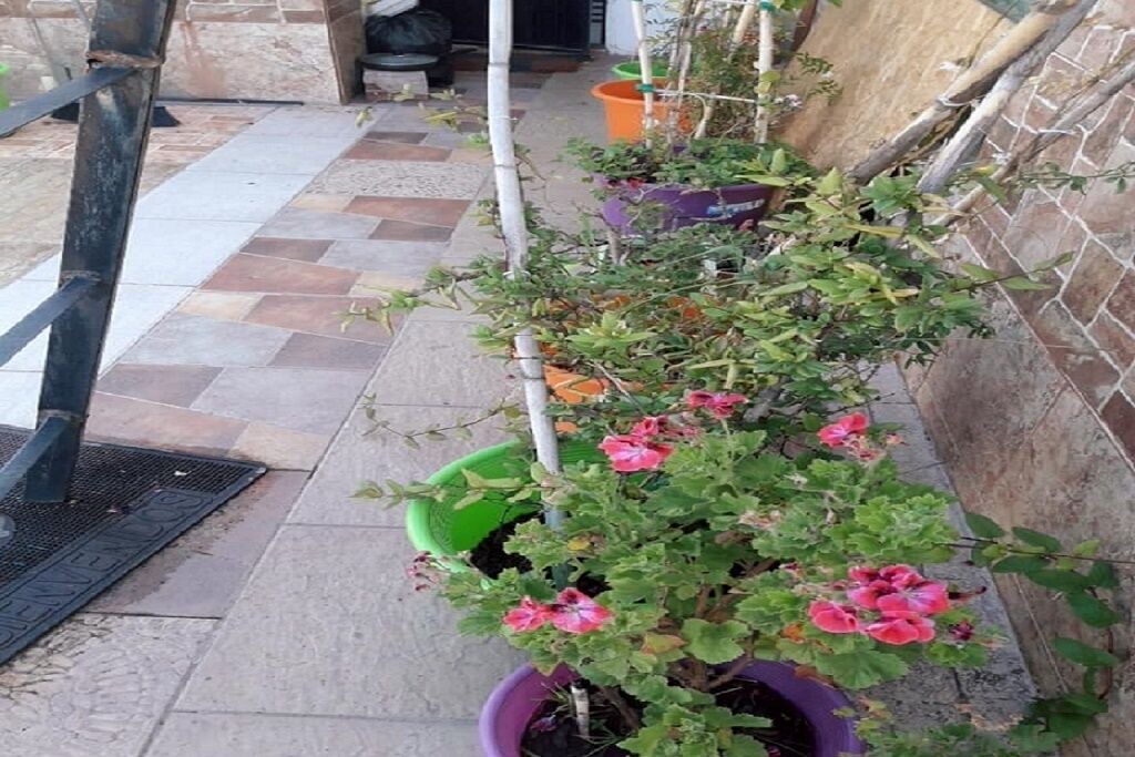 Photo of Outdoor in Cusco