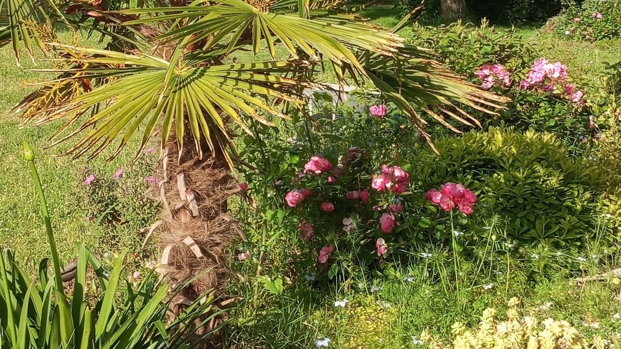 Photo of Outdoor in Saint-Gervais