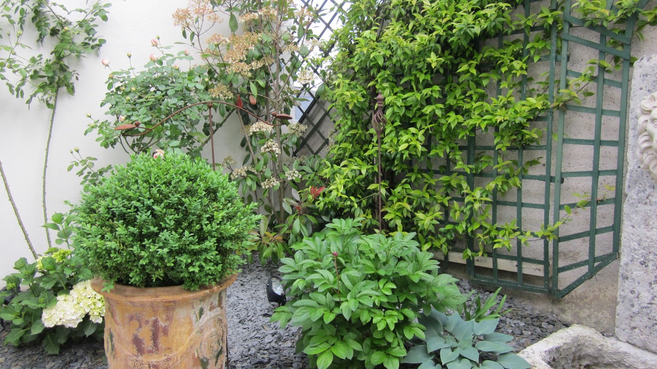 Photo of Outdoor in Blois