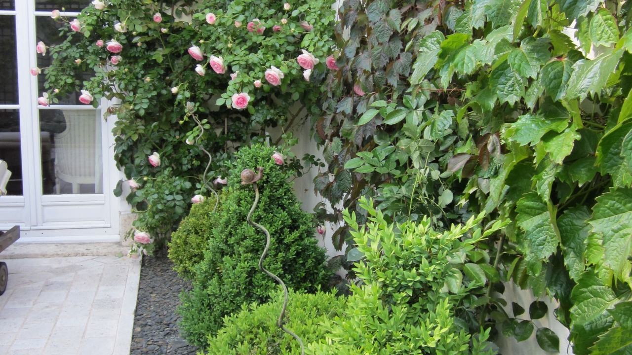 Photo of Outdoor in Blois